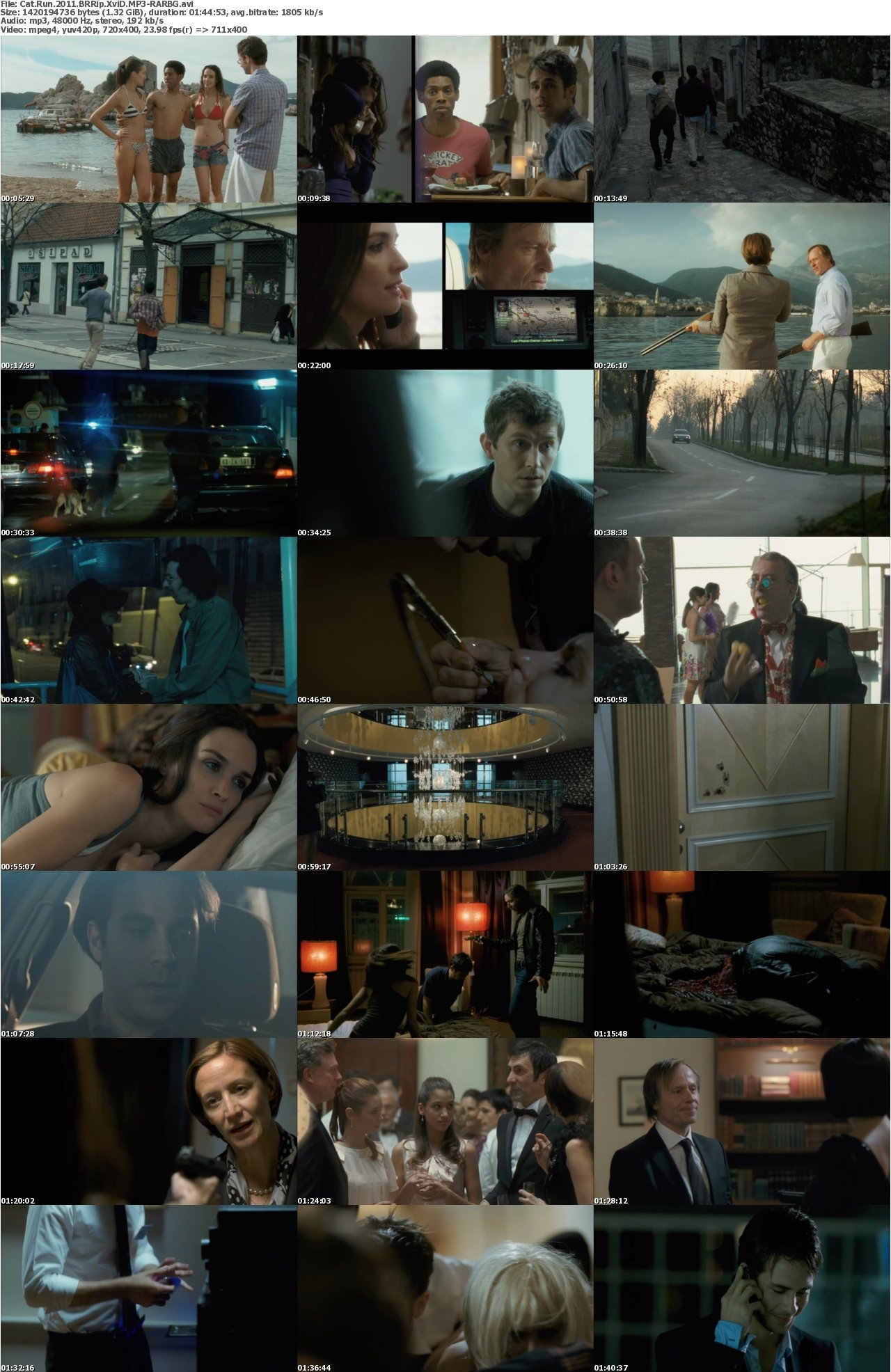 Cat Run 2011 BRRip XviD MP3-RARBG