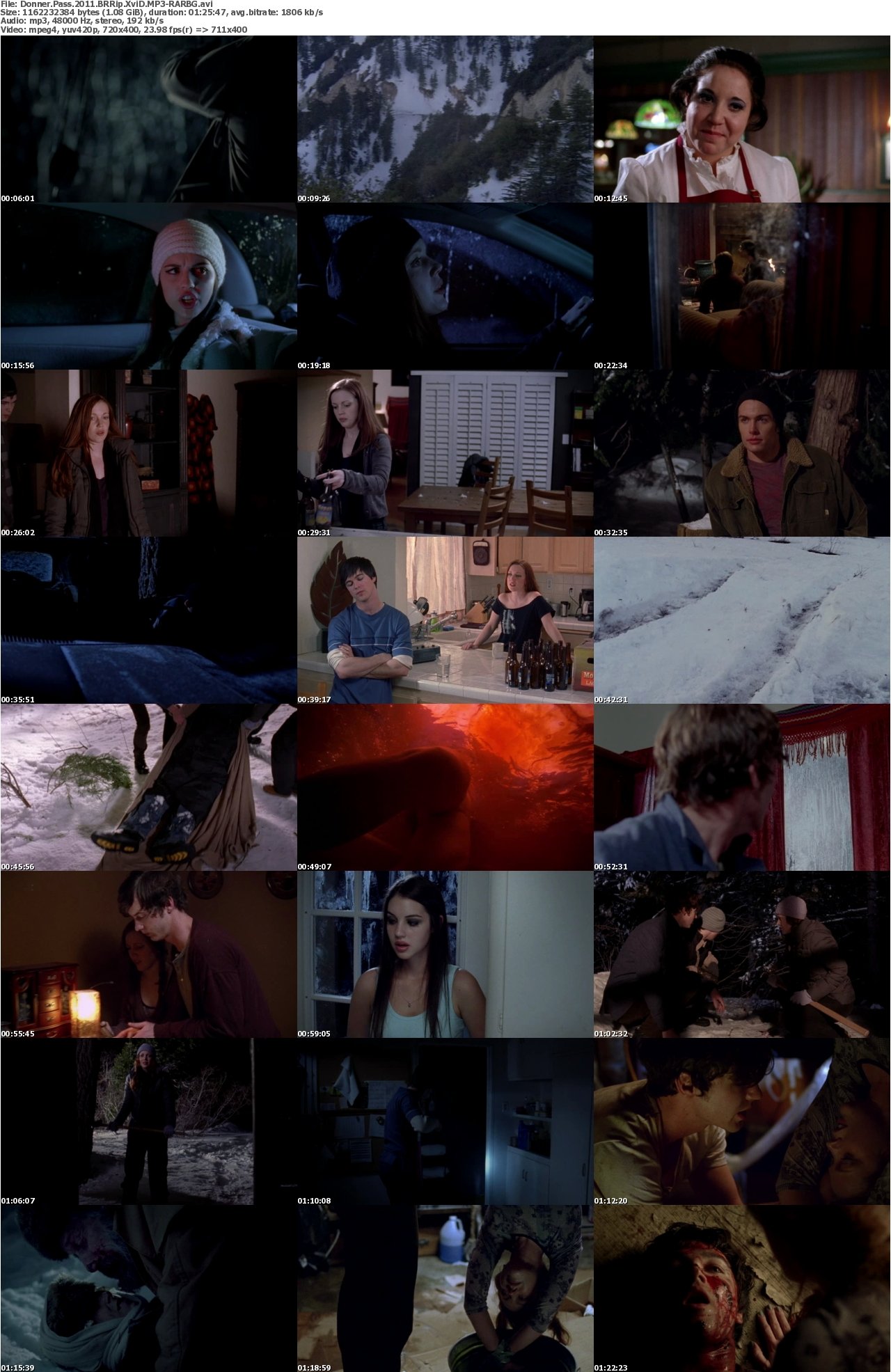 Donner Pass 2011 BRRip XviD MP3-RARBG