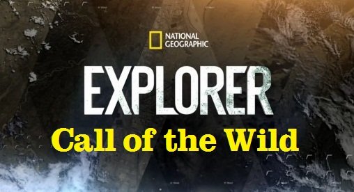 National Geographic - Explorer: Call of the Wild (2015) 720p HDTV x264-DHD