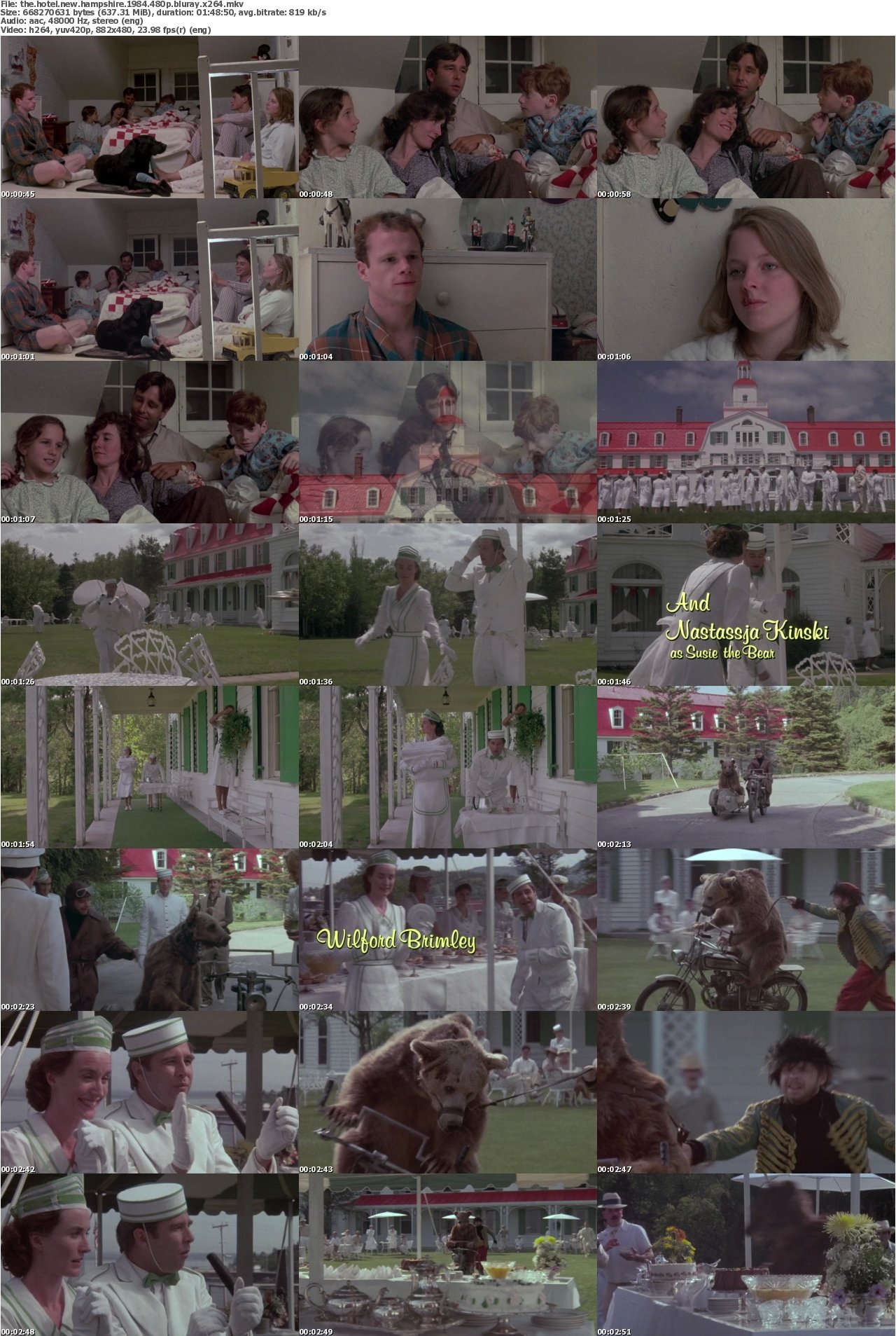 The Hotel New Hampshire 1984 480p BluRay x264