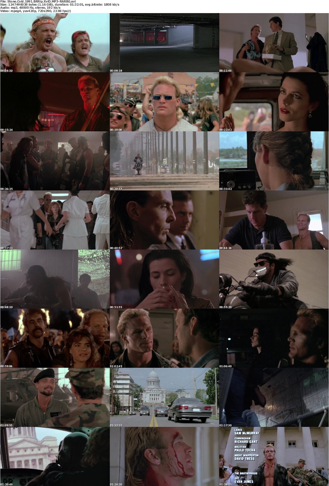Stone Cold 1991 BRRip XviD MP3-RARBG