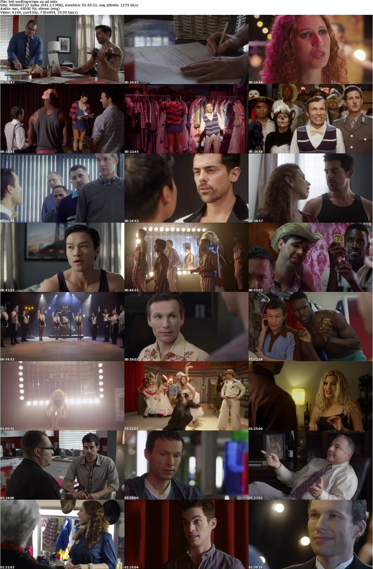 Waiting in the Wings The Musical 2014 DVDRiP x264-KNT