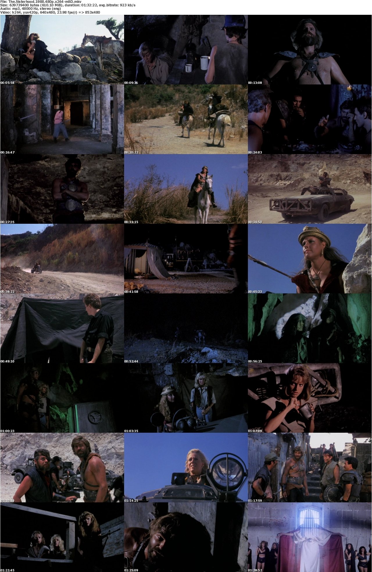 The Sisterhood 1988 480p x264-mSD