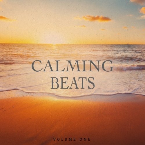 VA - Calming Beats, Vol. 1 (Awesome Chilled Electronic Music)(2016)