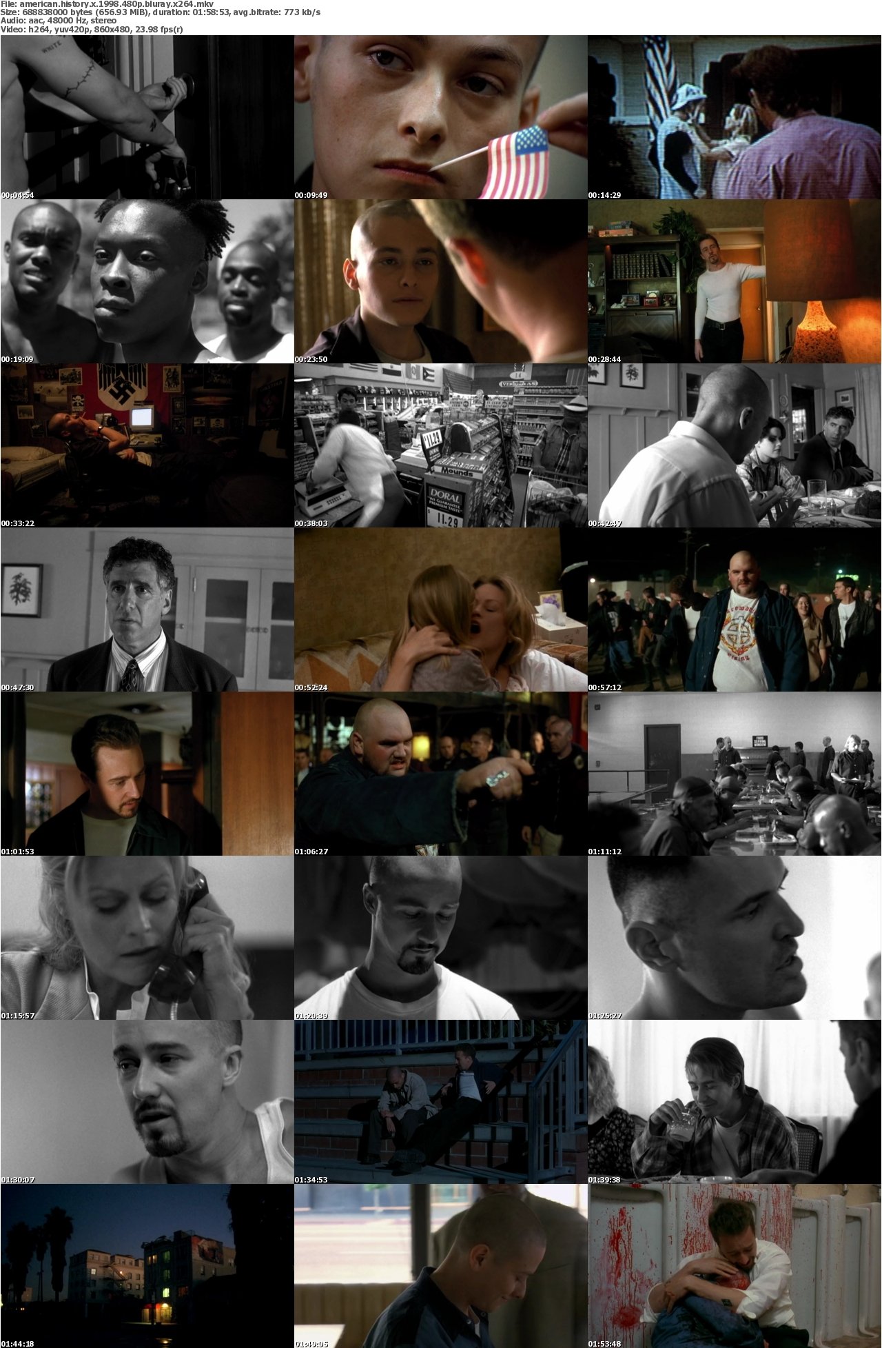 American History X 1998 480p BluRay x264