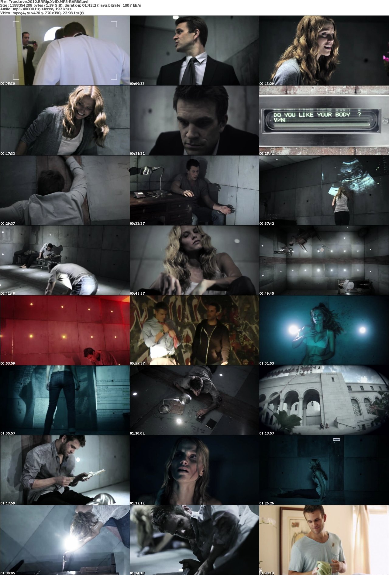 True Love 2012 BRRip XviD MP3-RARBG
