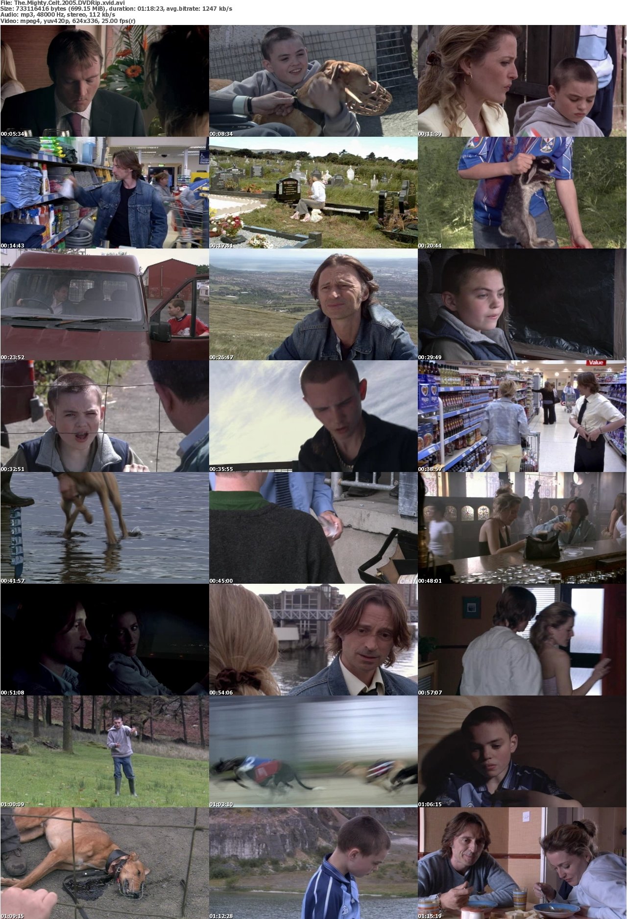 The Mighty Celt 2005 DVDRip xvid