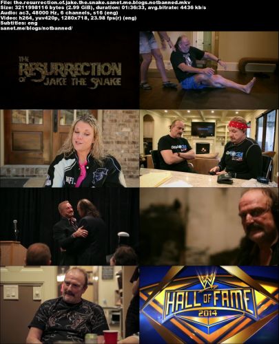 The Resurrection of Jake The Snake Roberts (2015) 720p WEBRip h264-HatchetGear