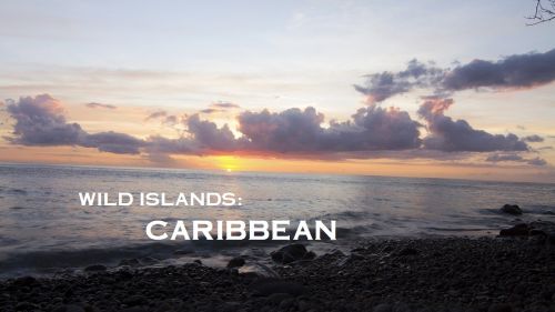 National Geographic - Wild Islands: Caribbean (2015) 720p HDTV x264-ASCENDANCE