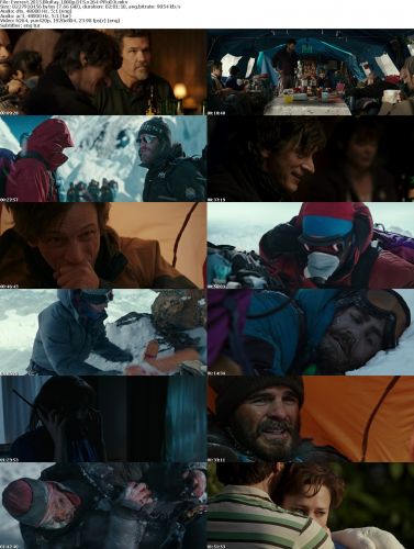 Everest 2015 BluRay 1080p DTS x264-PRoDJi