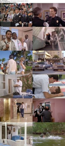 Police Academy 5 Assignment Miami Beach 1988 iNTERNAL DVDRip x264-REGRET