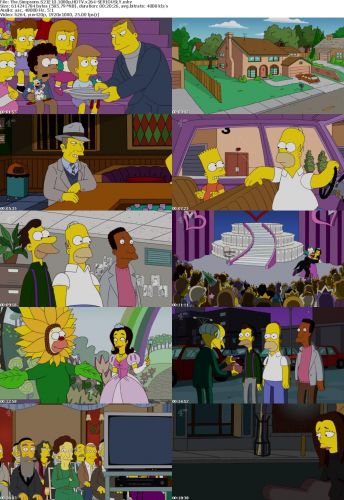 The Simpsons S21E10 1080p HDTV x264-SERIOUSLY