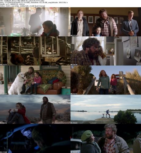 Oddball 2015 720p WEB-DL x264 AC3-iFT