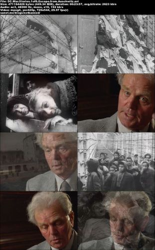 Discovery Channel - War Stories (1999) DVDRip x264-MVGroup