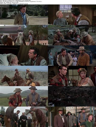 Gun for a Coward 1957 720p BluRay x264-RUSTED
