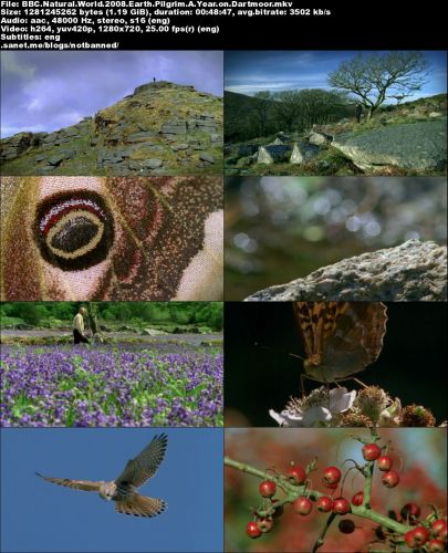 BBC Natural World - Earth Pilgrim: A Year on Dartmoor (2008) 720p HDTV x264-MVGroup