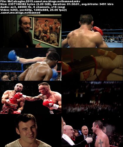 Mr Calzaghe (2015) 720p BRRip x264 AC3-DiVERSiTY