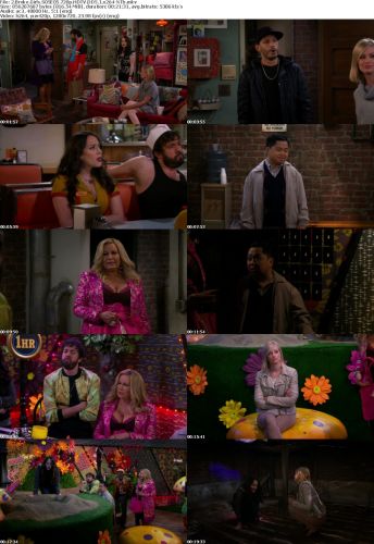 2 Broke Girls S05E05 720p HDTV DD5.1 x264-NTb