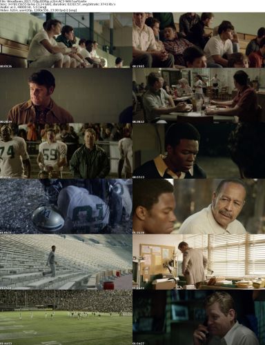 Woodlawn 2015 720p BDRip x264 AC3-WiNTeaM