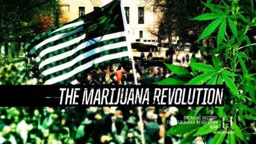 History Channel - The Marijuana Revolution (2015) 720p HDTV x264-MVGroup