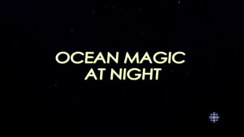 CBC - The Nature of Things: Ocean Magic at Night (2016) 720p HDTV x264-aAF