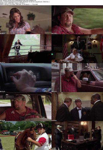 Witless Protection 2008 BRRip XviD MP3-RARBG