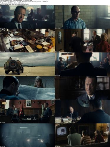 Bridge of Spies 2015 BRRip XviD AC3 BTRG