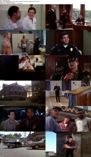 Police Academy 1984 iNTERNAL DVDRip x264-REGRET