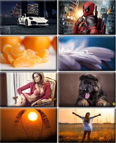 Computer Desktop Wallpapers Collection. Part (1425)