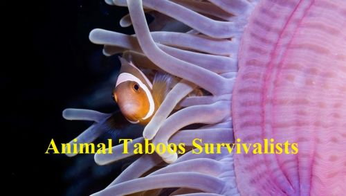 National Geographic - World's Weirdest: Animal Taboos Survivalists (2015) 720p HDTV x264-SQUEAK