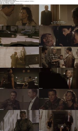 Second in Command 2006 German AC3D DL 720p BluRay x264-TVP