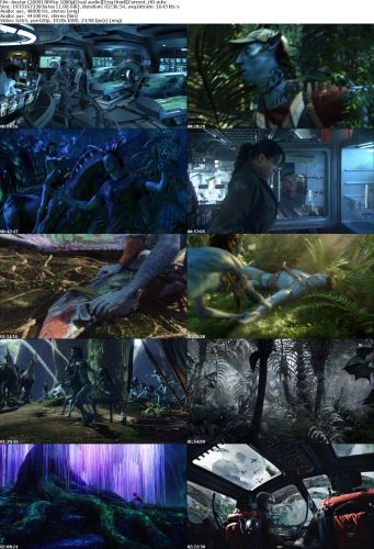 Avatar (2009) BRRip 1080pDual audioEng Hindi