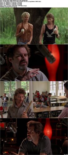 Joe Dirt 2001 1080p BluRay DTS x264-VietHD