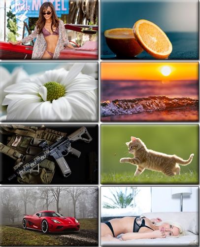 Computer Desktop Wallpapers Collection. Part (1422)