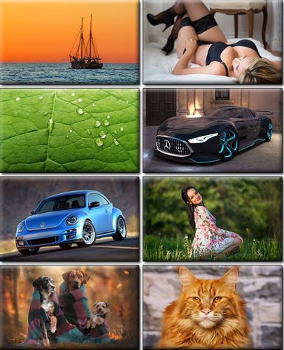 Computer Desktop Wallpapers Collection. Part (1414)
