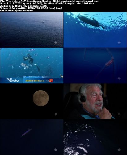 CBC - The Nature of Things: Ocean Magic at Night (2016) 720p HDTV x264-aAF