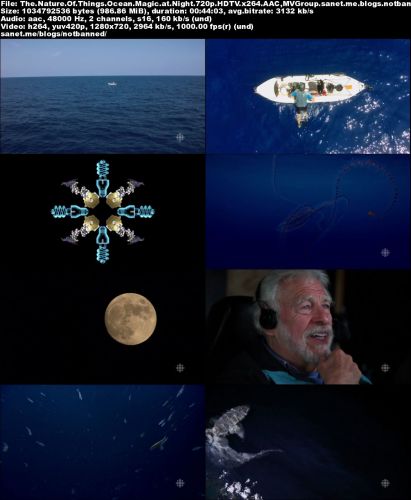 CBC The Nature of Things - Ocean Magic at Night (2016) 720p HDTV x264-MVGroup