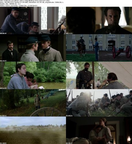 Field of Lost Shoes 2014 720p BluRay DTS x264-iFT