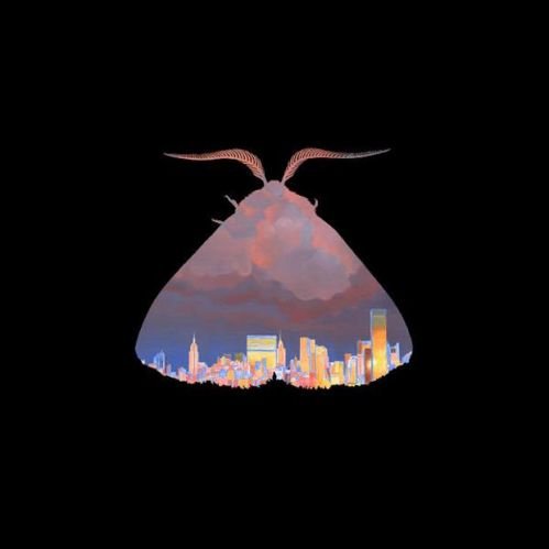 Chairlift - Moth (2016)