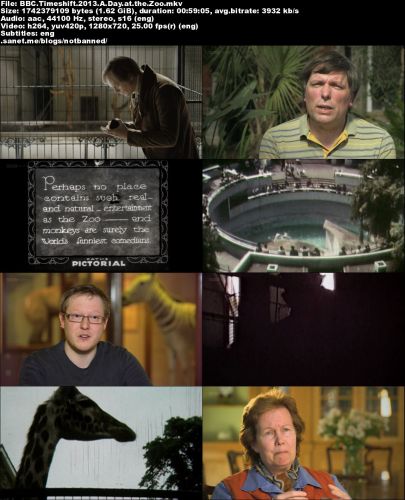 BBC Time Shift - A Day at the Zoo (2013) 720p HDTV x264-MVGroup