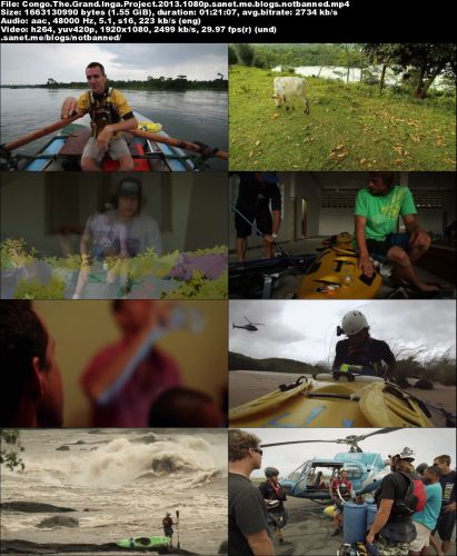 Congo: The Grand Inga Project (2013)