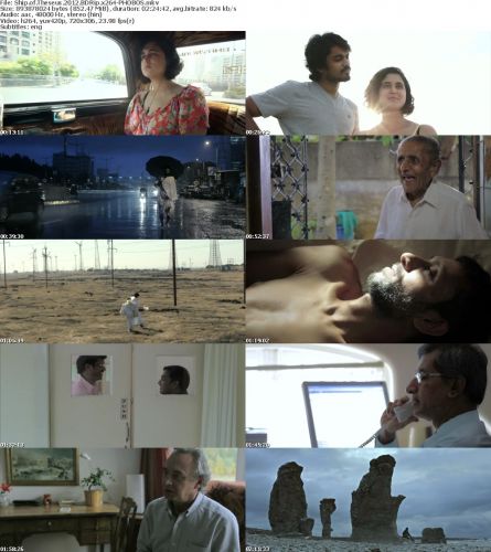 Ship of Theseus 2012 BDRip x264-PHOBOS
