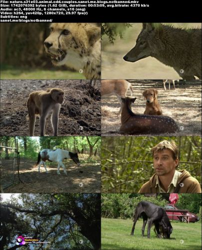 PBS - Nature: Animal Odd Couples (2012) 720p HDTV x264-W4F