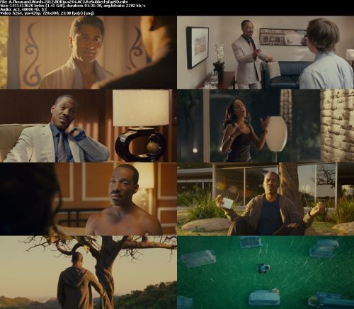 A Thousand Words 2012 BDRip x264 AC3 RoSubbed-playSD