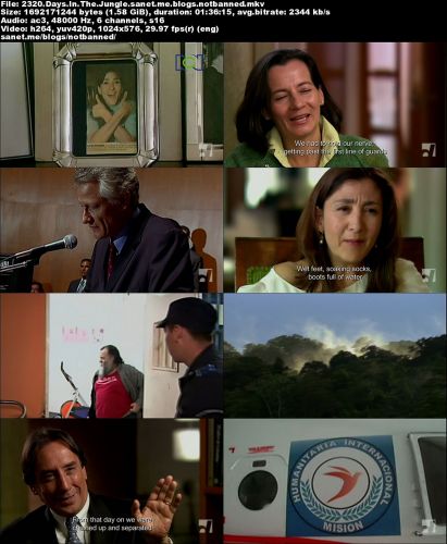 Ronachan Films - 2320 Days in the Jungle (2010) PDTV x264-MVGroup