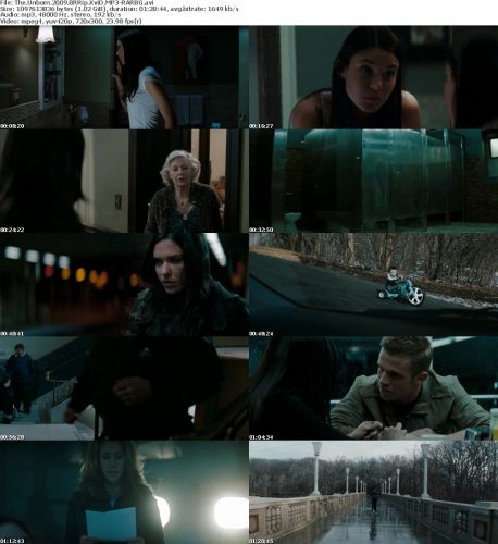 The Unborn 2009 BRRip XviD MP3-RARBG