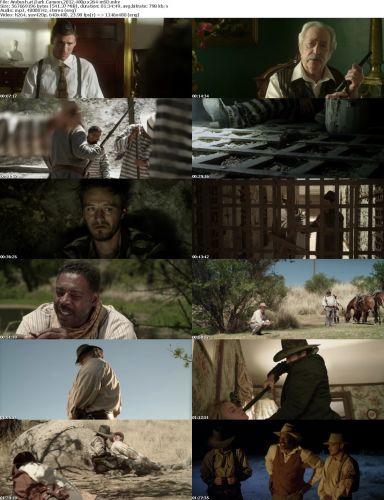 Ambush at Dark Canyon 2012 480p x264-mSD