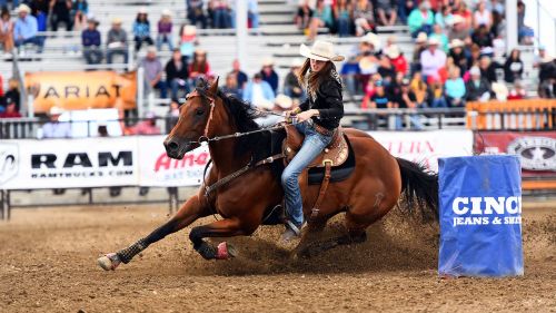 CBC - Firsthand Ca: Cowboy Up (2016) 720p HDTV x264-aAF