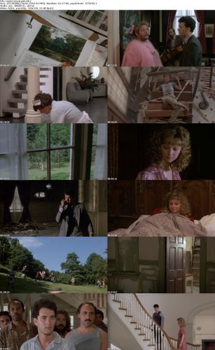 The Money Pit 1986 iNTERNAL DVDRip x264-REGRET
