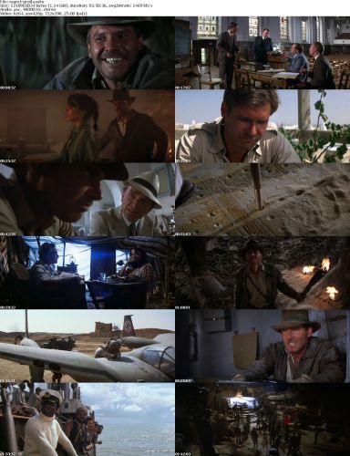 Indiana Jones And The Raiders Of The Lost Ark 1981 iNTERNAL DVDRip x264-REGRET